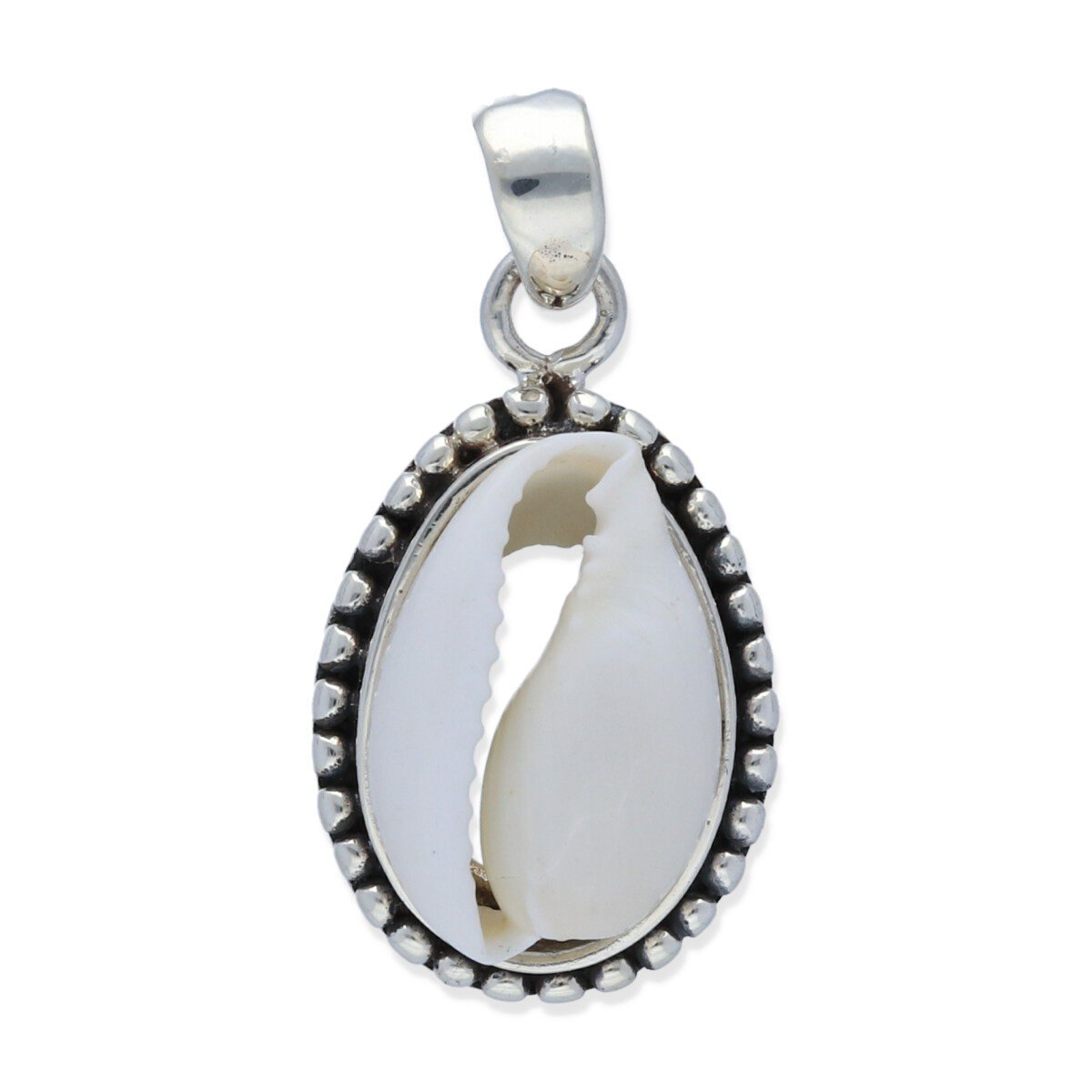colgante concha cauri blanco M colgante plata 925 lisa concha cauri blanco talla M, 20mm de largo