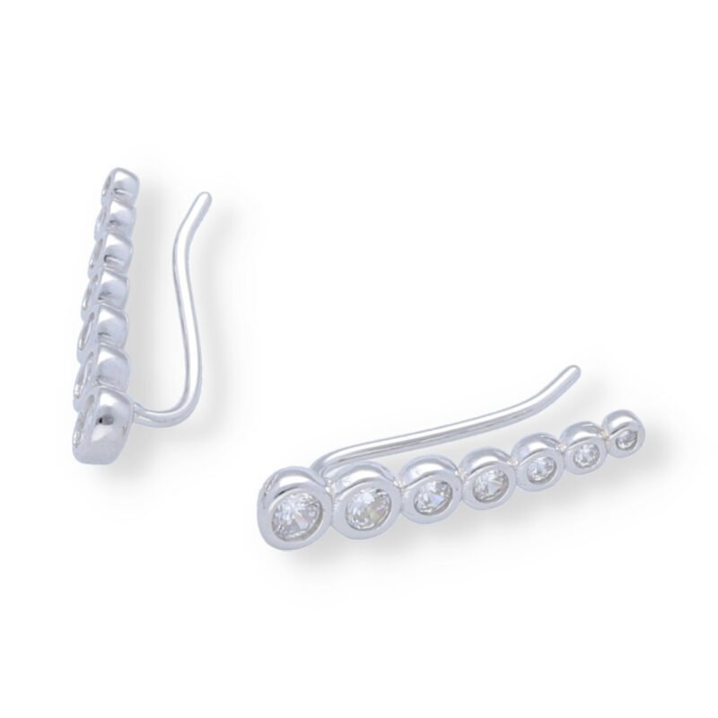 Pendientes plata trepadroes
